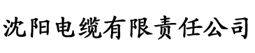 久久久久久亚AV无码专区电缆厂logo